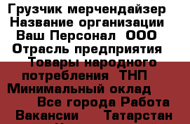 Грузчик-мерчендайзер › Название организации ­ Ваш Персонал, ООО › Отрасль предприятия ­ Товары народного потребления (ТНП) › Минимальный оклад ­ 18 000 - Все города Работа » Вакансии   . Татарстан респ.,Чистопольский р-н
